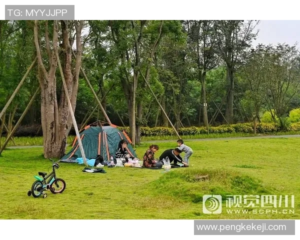 成都极限运动队战术深度对比与解析探讨