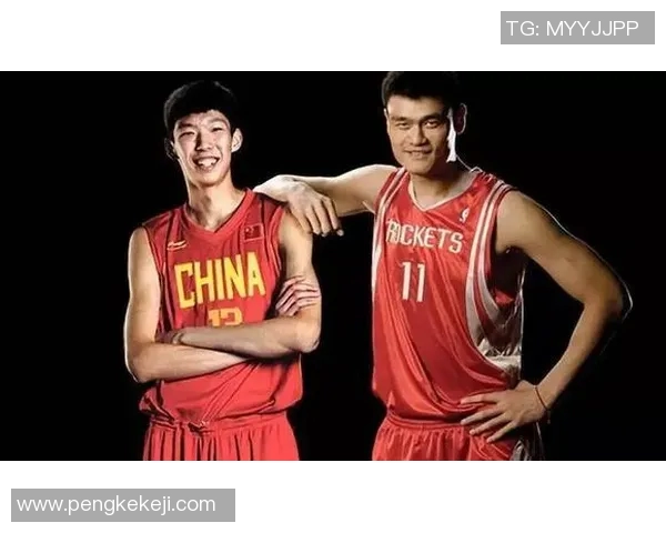 西红柿对姚明的评价与中国篮球发展的深远影响分析 西红柿对姚明的评价与中国篮球发展的深远影响分析